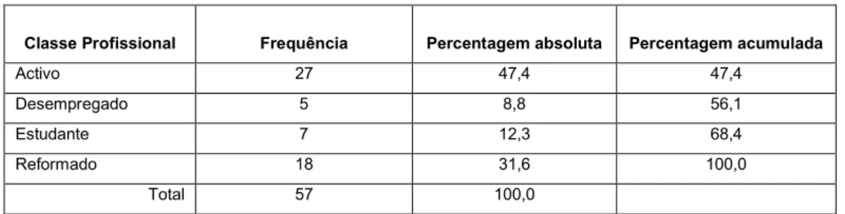 Fig. 8 – Distribuição da Classe Profissional 
