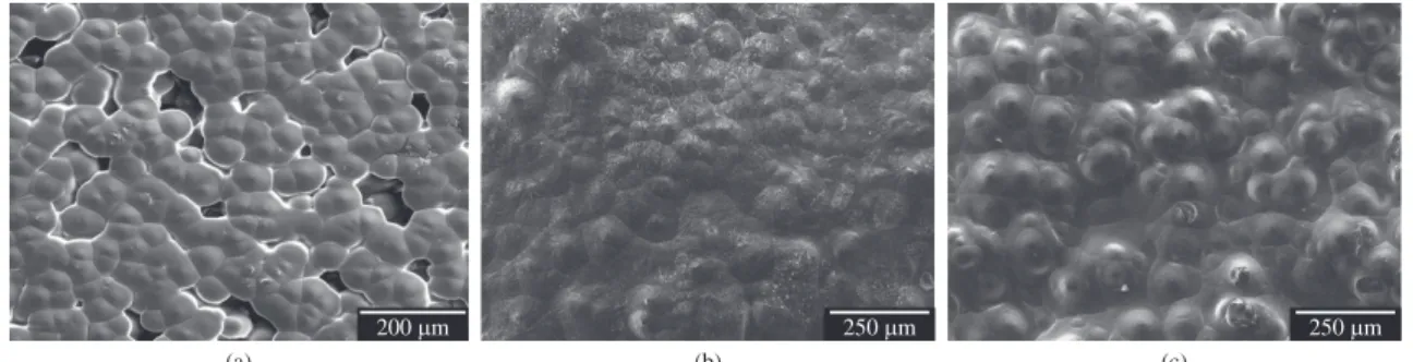 Figura 3. Microscopia eletrônica de varredura (MEV) das superfícies das blendas de PPD/PHB