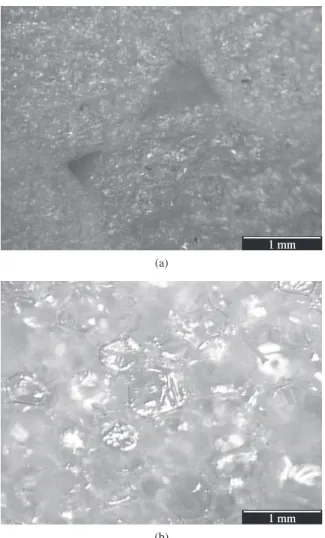 Figura  1.  Fotografias  obtidas  por  microscopia  ótica  (×5).  a)  Poliestireno  expandido (EPS) e b) Poliuretano expandido (PU).