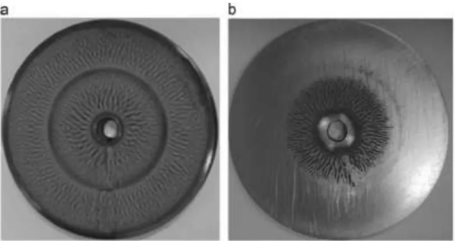 Figura  10.  Discos  de  80  mm  de  diâmetro  de  Ti-6Al-4V  nitretados  a  laser.  a)  antes do polimento e b) depois do polimento(Duraiselvam et al., 2014)
