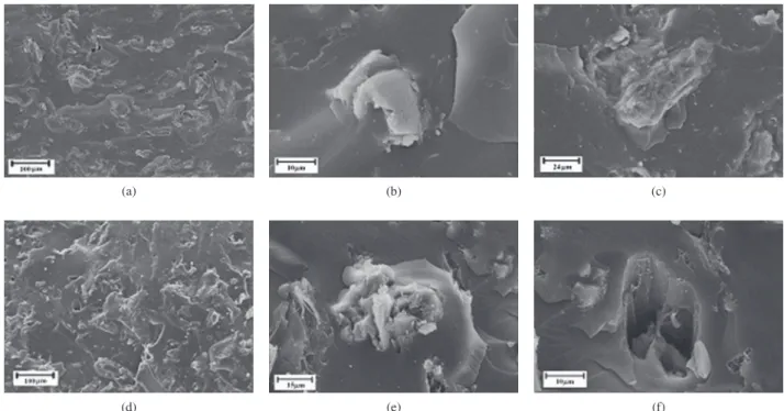 Figura 4. Imagens de MEV da superfície fraturada dos compósitos glioxal-fenol reforçados com 30% de CM