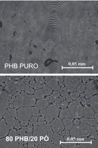 Figura 4. Micrografias eletrônicas obtidas do PHB puro (amostra 1) e do  compósito 80%PHB/20%pó (amostra 3).