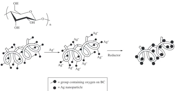 Figure 1. Representation of the production of the Ag nanoparticles on BC nanofibrillar structure through the in situ metallization method.