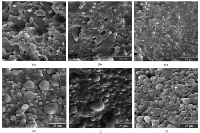 Figura 7. Imagens de MEV das superfícies de fratura frágil das blendas TPS-PEBD obtidas em nitrogênio líquido extraídas com água em ebulição com  aumento de 1000X