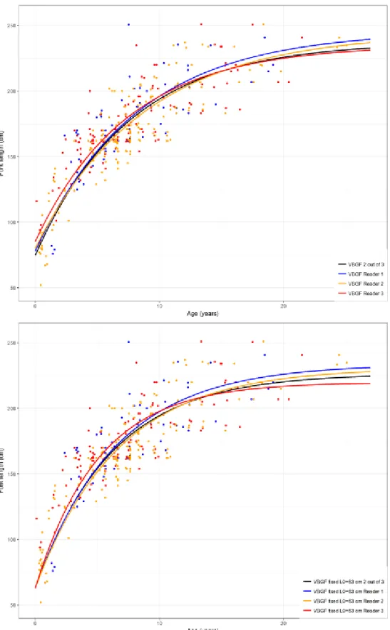 Figure 5. The von Bertalanffy growth function (VBGF) for male Isurus oxyrinchus based on age estimations by  vertebrae growth marks