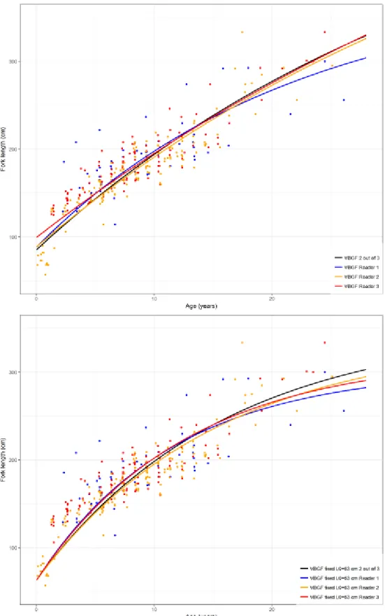 Figure 6. The von Bertalanffy growth function (VBGF) for female Isurus oxyrinchus based on age estimations  by vertebrae growth marks