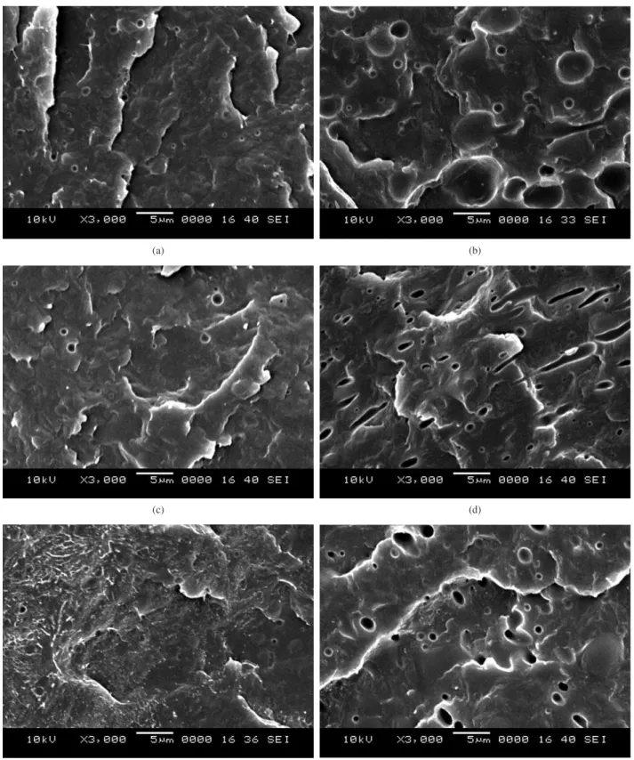 Figura 6. Micrografias de MEV das misturas: a) PE91; b) PE73; c) PEA91; d) PEA73; e) PEPA91; e f) PEPA 73.