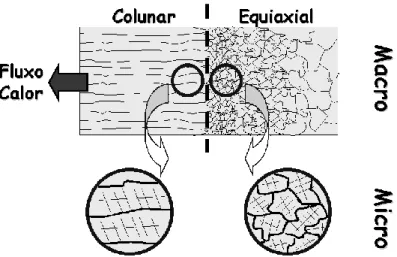 Figura 19: Representação esquemática das estruturas macroscópicas e microscópicas de um  lingote fundido com transição colunar/equiaxial (Osório, 2004)