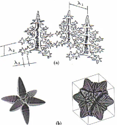 Figura 23: Ilustração do aspecto morfológico de crescimento dendrítico unidirecional (a) onde  o crescimento dendrítico é multidirecional (b), em que (λ1), (λ2) e (λ3) são, respectivamente, os 