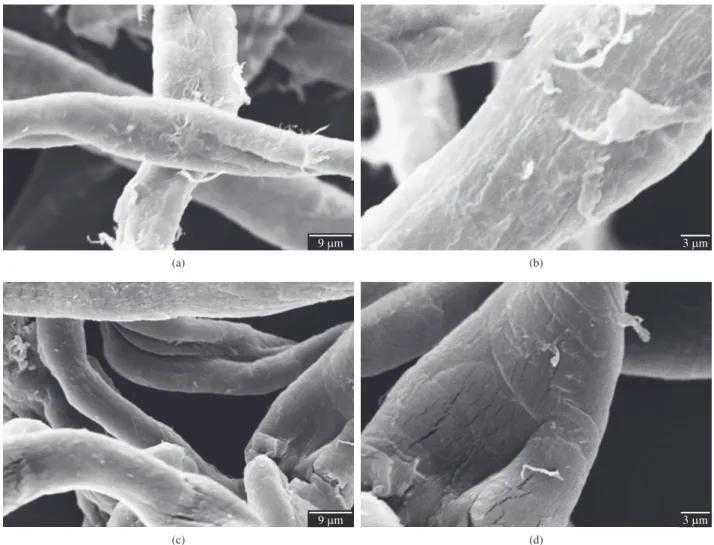 Figure 1. SEM images of untreated (a and b) and mercerized linters cellulose (c and d).