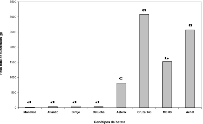 Figura  3.  Produção  total  de  tubérculos  de  batata  (Solanum  tuberosum  L.)  em  campo  naturalmente infestado com a biovar 1 (raça 1) de Ralstonia solanacearum