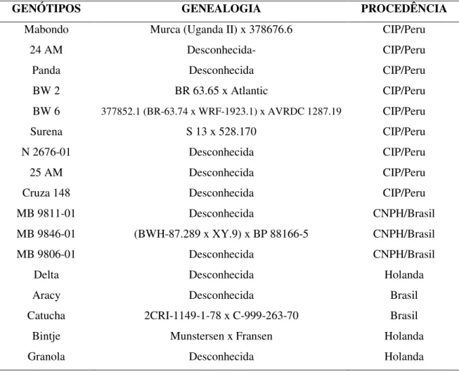 Tabela 1.   Clones  de  batata  provenientes  da  PTL  do  CIP  e  cultivares  utilizadas  na  primeira avaliação de resistência à murcha bacteriana em condições naturais  de infecção