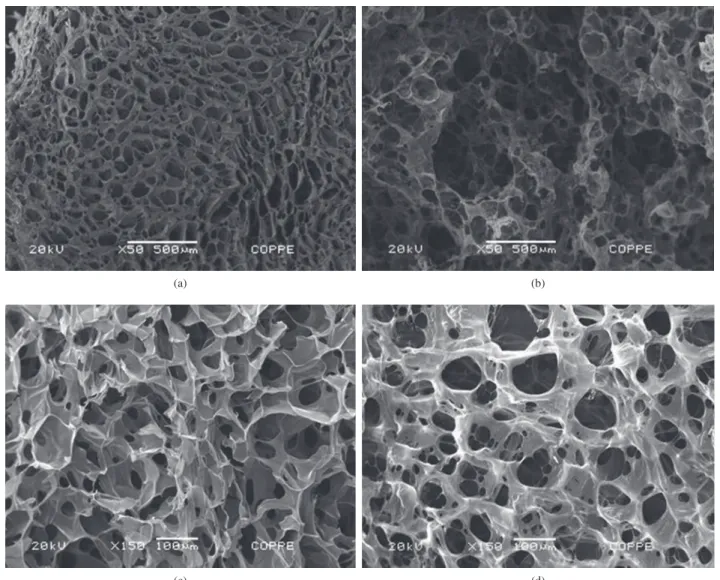 Figure 1. SEM micrographs a) Chitosan 50×; b) Collagen-chitosan 50×; c) Chitosan 150×; and d) Collagen-chitosan 150×.