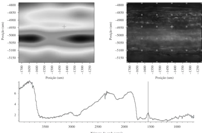 Figura 4. Microscopia FTIR da fibra de coco.