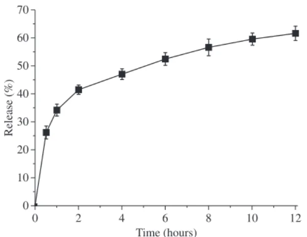 Figure 5. The fitting curve of first order release equation.