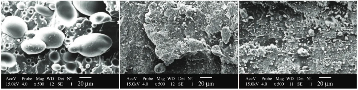 Figure 1. SEM micrographs of the blends (a) PLA/PE (80/20), (b) PLA/PE/E-GMA (80/20/5) and (c) PLA/PE/EMA-GMA (80/20/5)