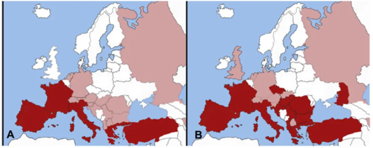 Figura  4  –  Comparação  da  distribuição  geográfica  da  dirofilariose  canina  na  Europa