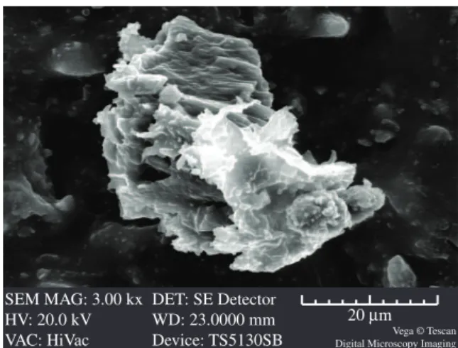 Figure 5. Scanning electron micrograph of C2 bone cement formulation  used as control; magnifications: ×1000.