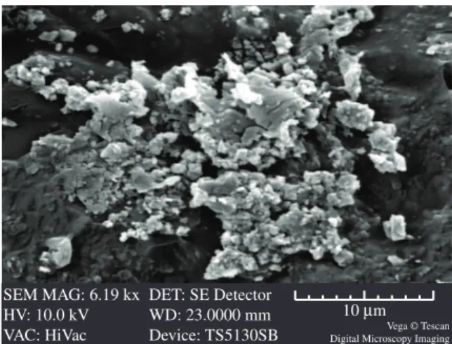 Figure 7 shows the formation of great apatite nucleation points  which lead to think in layer deposition on the material surface