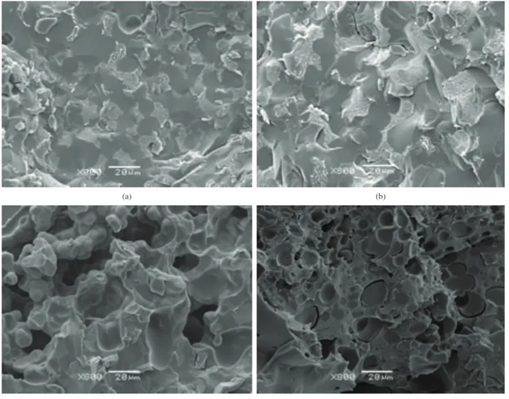 Figure 6. Micrographs of the BS/PVDF 50/50 blends: BS-1/PVDF (a), BS-2/PVDF (b), BS-3/PVDF (c) and BS-6/PVDF (d).