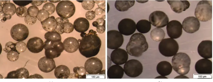 Figura 1. Micrografias de microscopia óptica dos copolímeros de STY-DVB-VAc sintetizados com 10% de VAc: sem semissuspensão (P2)(a) e com  semissuspensão (P3)(b).