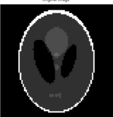 Figure 4.5: Shepp-Logan phantom original Image