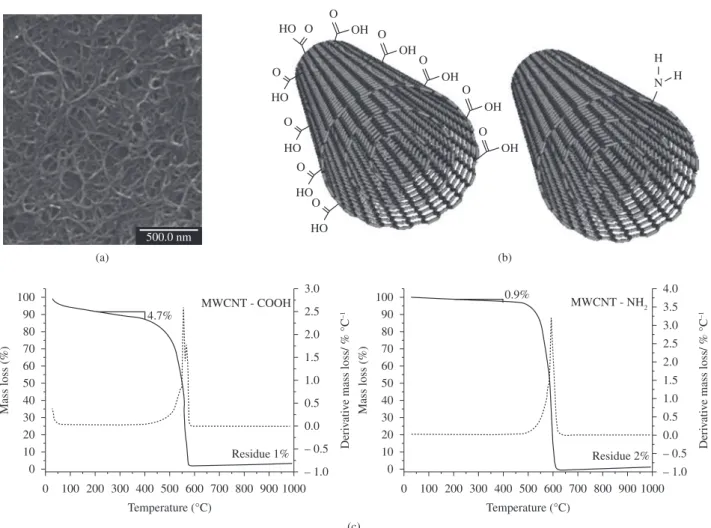 Figure 1. a) SEM image for the MWCNT-NH 2 ; b) schematic representation of the functionalization degree in MWCNT-COOH and MWCNT-NH 2 ;  c) thermogravimetric (TG) curves for both