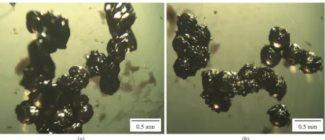 Figure 5. Optical micrographs of the chitosan microspheres after packing (a) bottom and (b) top, with 2.5x magnification.
