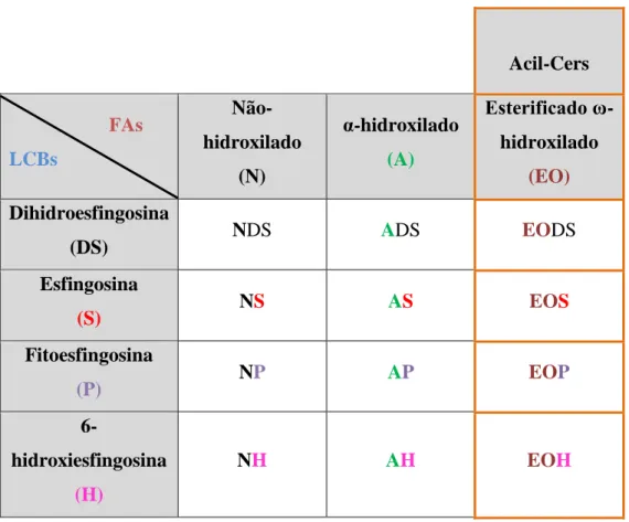 Tabela 1. Nomenclatura das diferentes classes de ceramidas na epiderme 1 .  