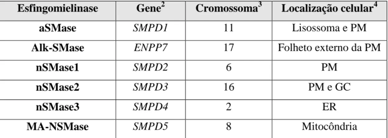 Tabela 2) é a nSMase mais recentemente identificada (Airola e Hannun, 2013; Gault et  al., 2010; Taniguchi e Okazaki, 2014)