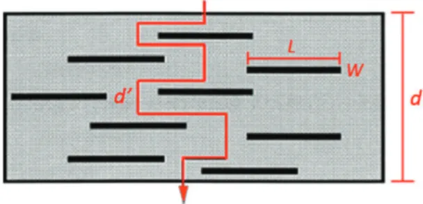 Figura 1. Modelo do caminho difusional de um penetrante  através do nanocompósito [15] .