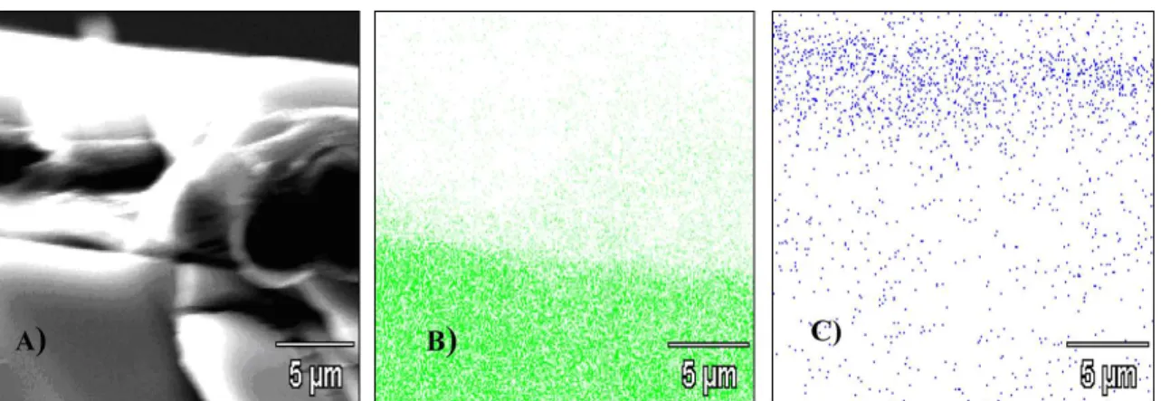 Figure 7. A)฀SEM฀of฀cross-section฀of฀a฀sample฀which฀indicate฀the฀presence฀of:฀B)฀silicon;฀C)฀luor.