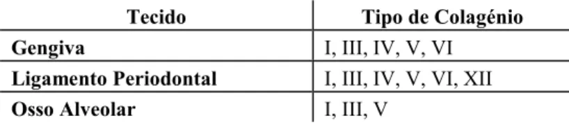 Table 2: Tipos de colagénios segundo a sua distribuição nos diferentes tecidos orais. 