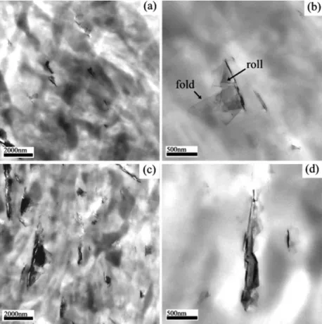Figure 2. TEM micrographs of (a)-(b) PP/EG-2 and (c)-(d) PP/EG-10 nanocomposites.