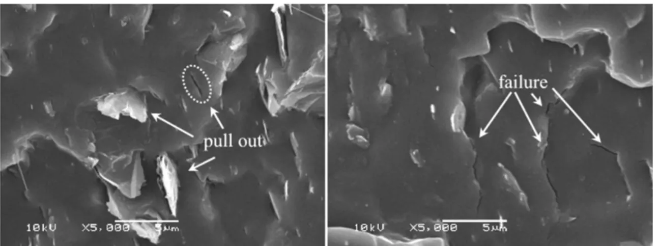 Figure 7. SEM micrographs of the fractured PP/EG-2 nanocomposites.