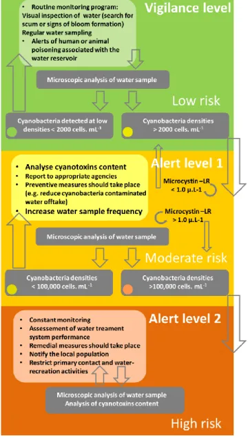 Fig.  4  -  Organizational  chart  of  the  steps  involved  in  cyanobacteria  risk  management  (adapted  from  Bartram  et  al