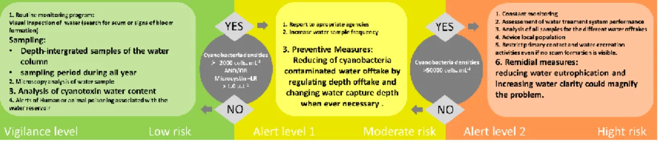 Fig. 6 - Schematic scheme of the steps involved in Planktothrix risk management. 