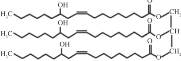 Figure 1. Structure of ricinoleic acid molecule.
