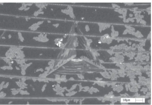 Figure 6. Scanning electron microscopy of an indentation on a  1440h UVA irradiated sample showing the cracks at the surface.
