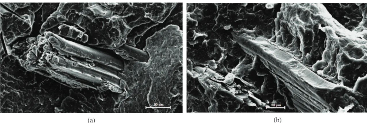 Figure 7. Micrographs of polymer/ wood composites: a) without compatibilizer; b) with 10% PP-g-MA.