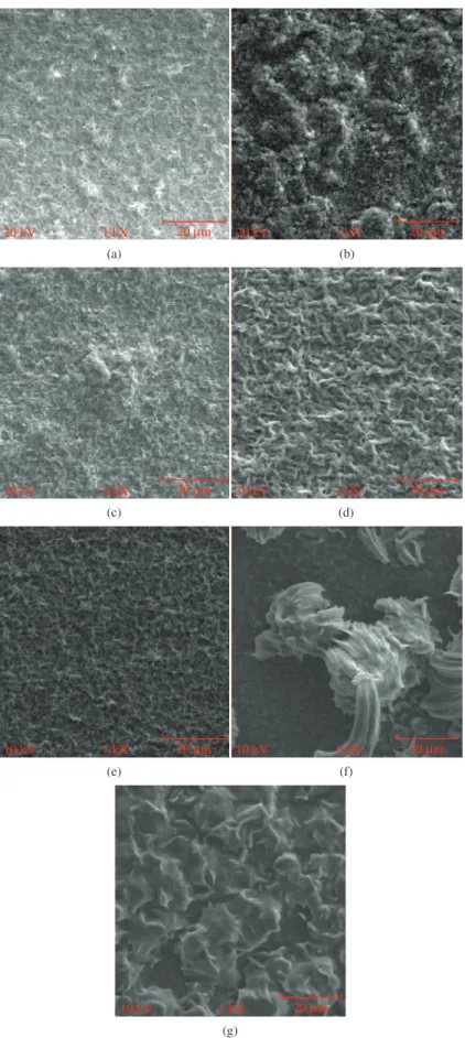 Figure 4. SEM of superior surface of the PHBV/PEG mixtures. 1000X: a) 100/0, b) 98/02, c) 95/05, d) 90/10, e) 80/20, f) 50/50,  g) 20/80.