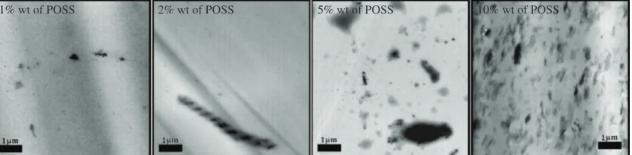 Figure 2 shows the nanometric dispersion of POSS. 
