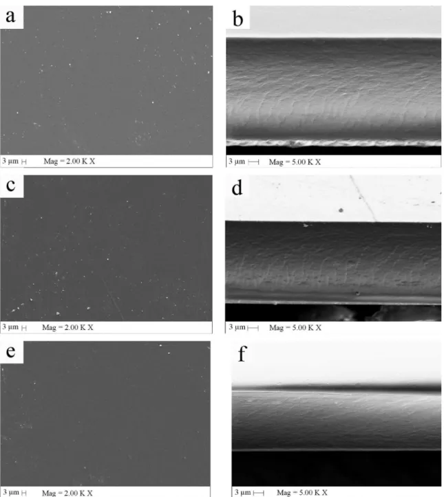 Figure 3. SEM micrographs (bars = 3 µm) of the surface (left column) and internal structures (right column) of gelatin-based films  containing yucca extract and glycerol
