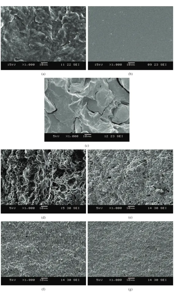 Figure 1. SEM images for fractured surfaces of PHBV (a), TPS (b), PHBV/TPS 1:1 neat blend (c), PHBV/TPS 1:1 blends with the  addition of 2.5 (d), 5.0 (e), 7.5 (f) and 10 (g) wt% C30B.