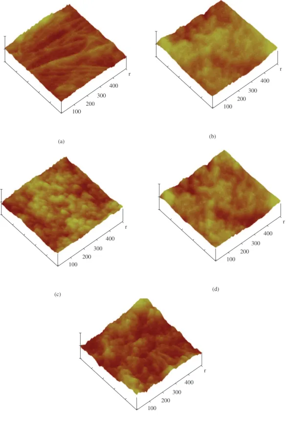 Figure 3. AFM 3D height mode images of PVA/PAN blend film surface with various PAN mole contents: (a) 0, (b) 2%, (c) 5%, (d) 8%, and (e) 10%
