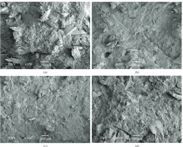 Figure 5 shows the thermogravimetric curves and their first  derivatives, obtained in inert atmospheres, for the composite and its  components, without coupling agent and prepared in a single screw  extruder
