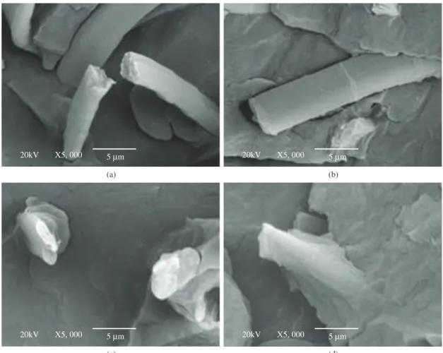 Figure 3. SEM micrographs of composites without coupling agent (a), with 1 pph of PP-g-MA (b), 2 pph of PP-g-MA (c) and 4 pph of PP-g-MA (d).
