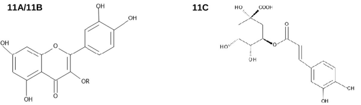 Figura  11A/11B/11C.  Estrutura  química  dos  padrões  rutina,  hiperosídeo  e  ácido  clorogênico