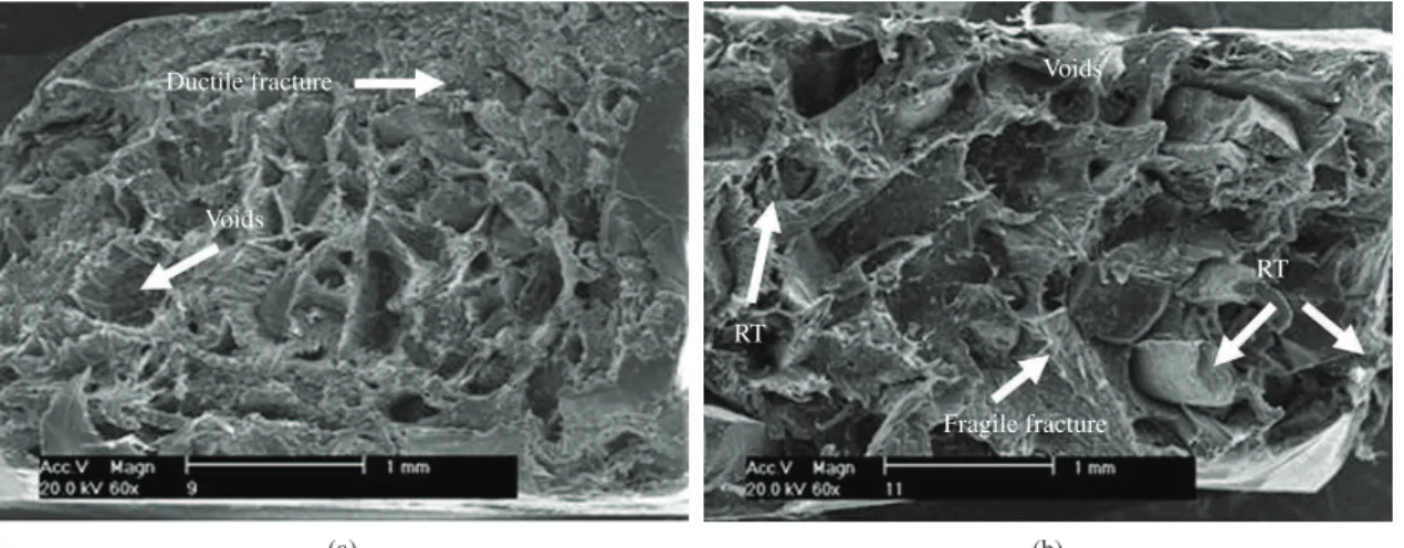 Figure 4. SEM micrographs of fracture surface after tensile test of the PP/HIPS/RT (72/18/10) composites with RT particle sizes of (a) <500 µm and  (b) 500-1000 µm (magnification 60×).