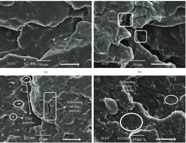 Figure 3. SEM images of PPP1 (a), PPP2 (b) and of PP/5%C20A nanocomposites prepared in profile 1 (c) and profile 2 (d).